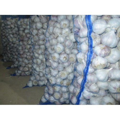 Kaufen Sie Cold Storage Normal White Garlic