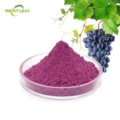 Organic Blueberry Powder Blueberry Fruit Powder