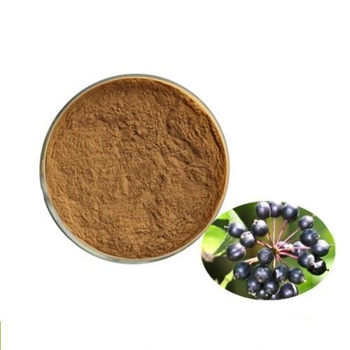 High quality Siberian Ginseng Extract