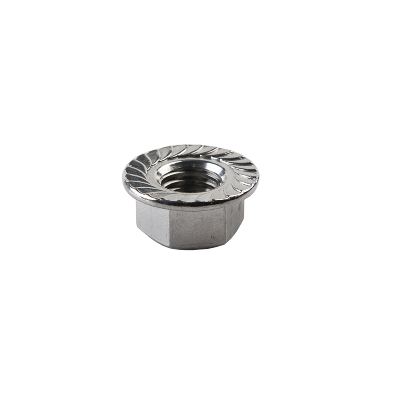 Stainless Steel DIN6923 Hexagon Nuts with Flange