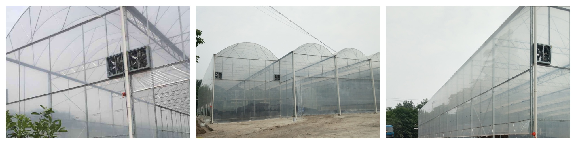 Multi span Greenhouse With Cooling System