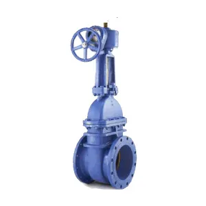 Rising Stem Slab Gate Valve