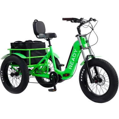 500W Electric Tricycle - OEM Aluminum Frame Fat Tire Pedicab for Family Use