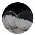 /msite/products/detail/productid/61972606/id/1360555.html