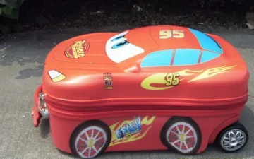 20" WHEELED TROLLEY CASE