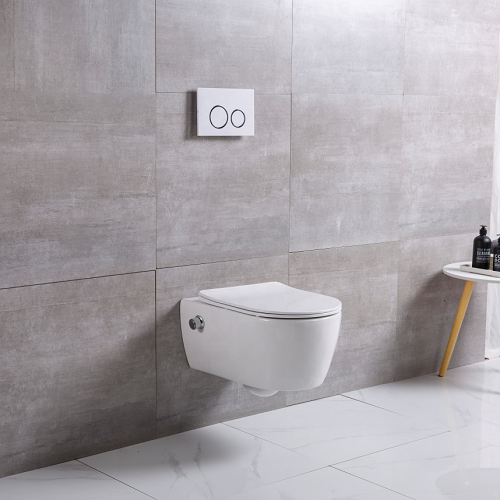 European Standard Wall Hung Rimless Toilet