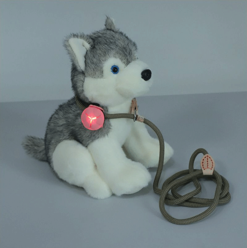 পোষা প্রাণী জন্য সিলিকন গ্লো দুল