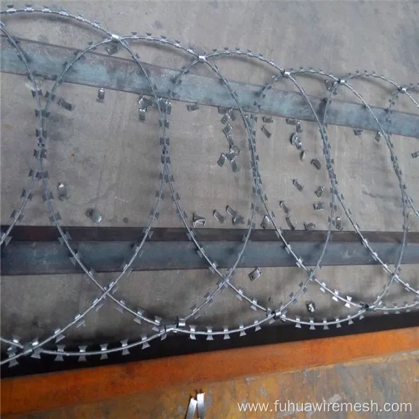 Flat Razor Wire Barbed for Type Ribbon Panels