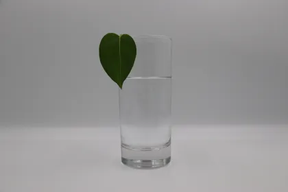 Industrial Grade Odorless Great Raw Isoparaffine Solvent