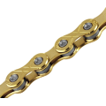 Single speed Bicycle Chain