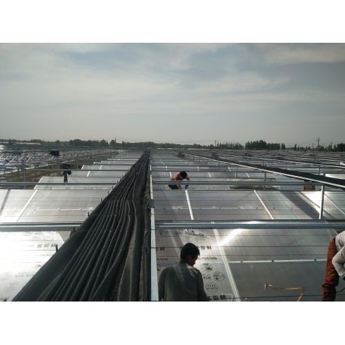 Sunboard Greenhouse Aluminum Profiles