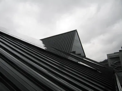 Qihong International Hotel Grid Roof Project