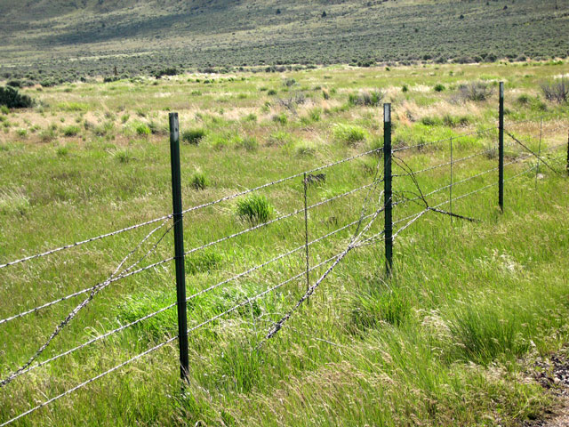 Galvanized Steel Wire Horse Fence Mesh/Farm Fence