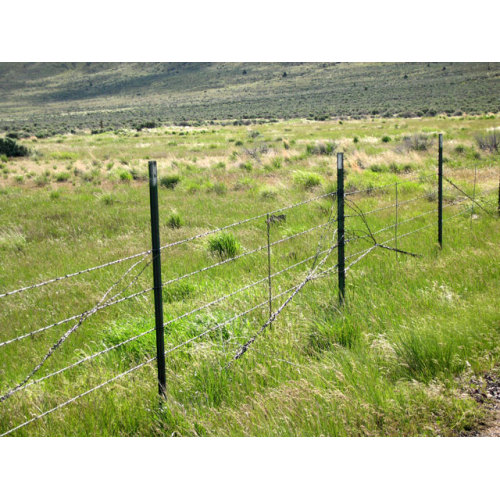 Cerca de malha de cerca de cavalo de arame de aço galvanizado / fazenda