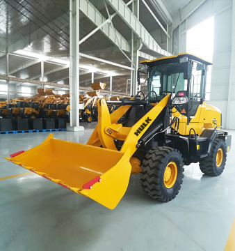 Economic Small Mini Loader New Model ZL928