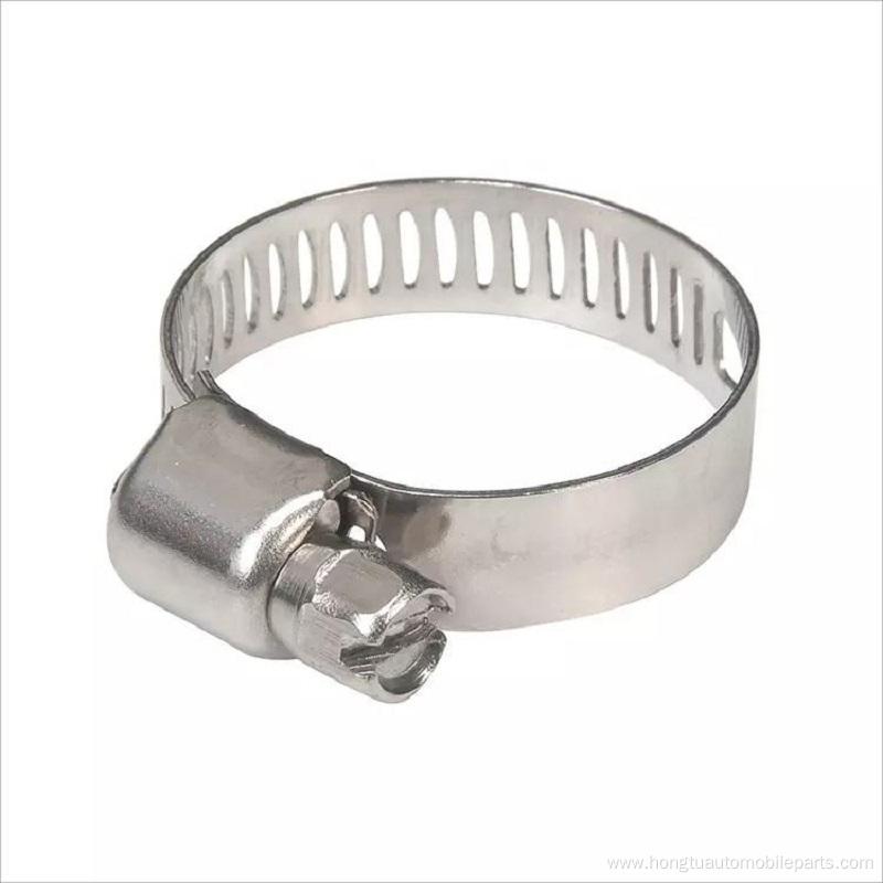 Spring/Elastic Hose Clamp with Color Zinc