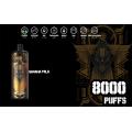 Vaporizador por atacado 8000puffs Mesh Bobina