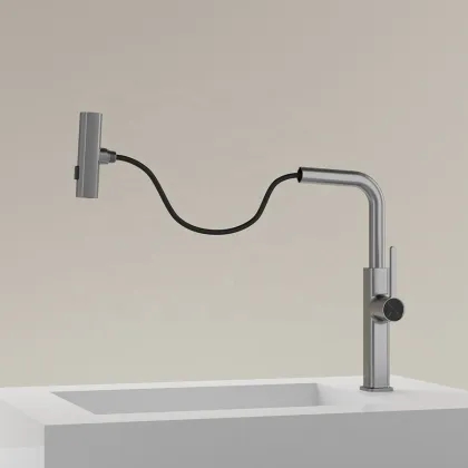 Feiyu Spray Head Faucet: 3-in-1 Commercial and Household Kitchen Tap