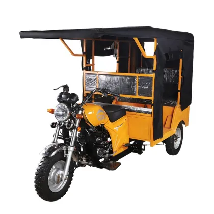 Small Lightweight Motorized Tricycle: Semi-Closed Three-Wheeled Motorcycle