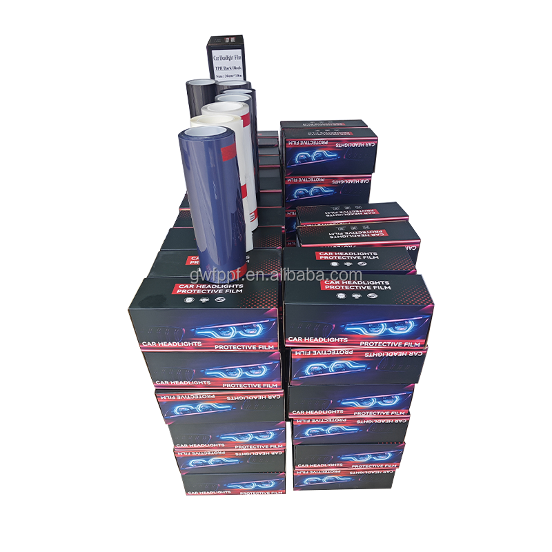 Dodge Charger Furlight Tint