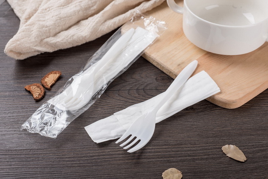 Light-Weight Plastic Cutlery Fork Spoon Set