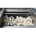 Machine d'épluchage de manioc de classe alimentaire