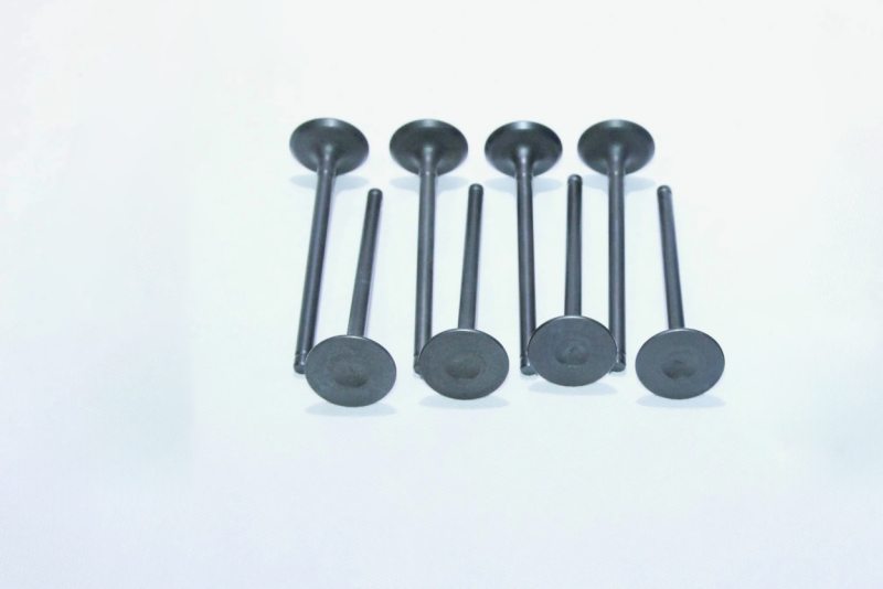 Intake Valve Repair Kit