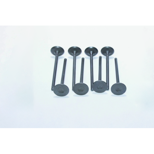 Intake Valve Repair Kit