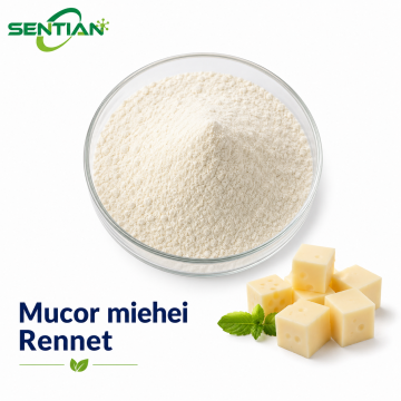 Mucor miehei Rennet for Premium Cheese Production