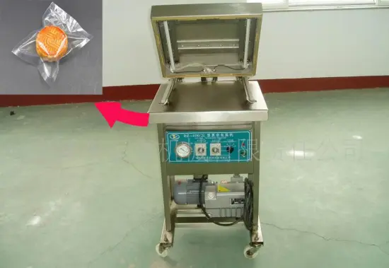 Xier Dz Series Automatic Cake Vacuum Packing Machine
