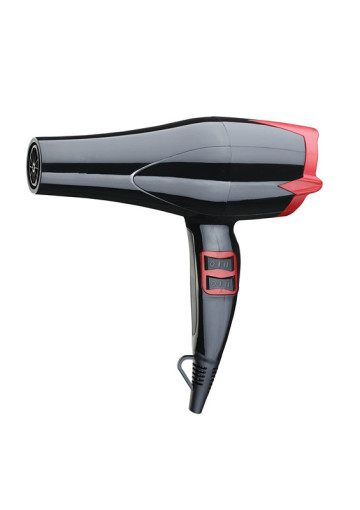 salon hair dryers which offer OEM/ODM