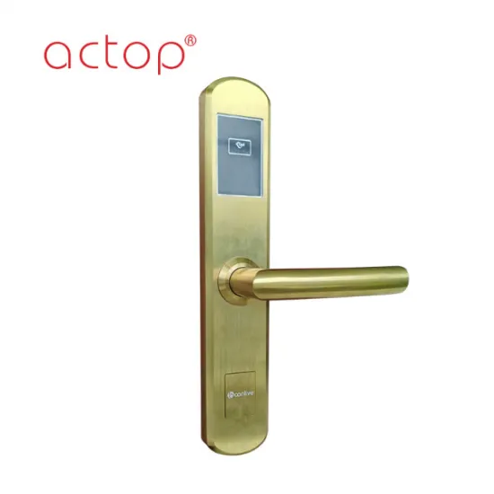 Door locks with handle