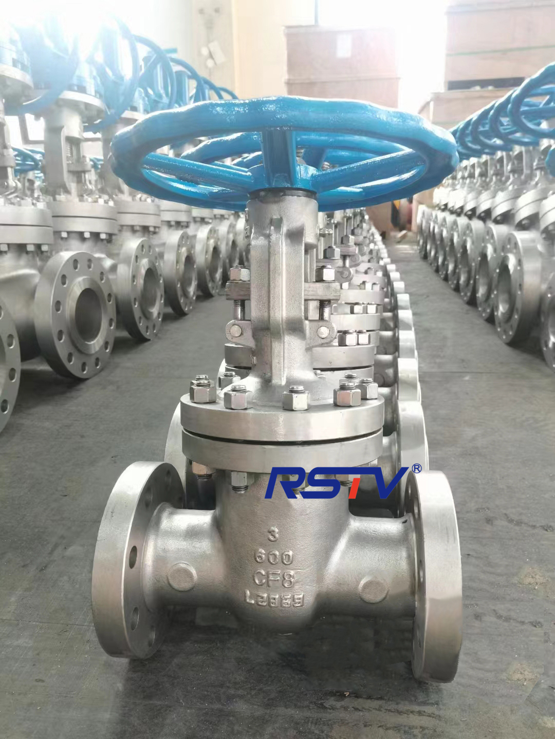 600LB FLANGE END CF8 GATE VALVE