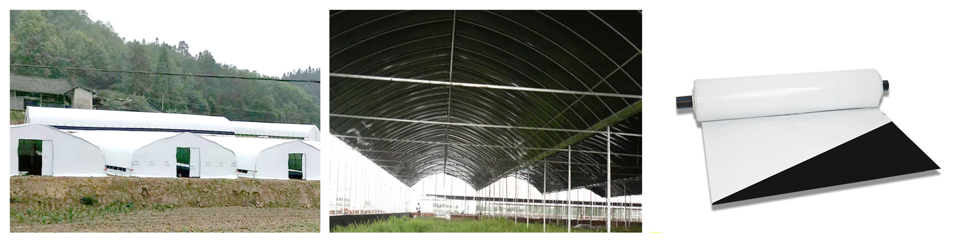 Black and White Plastic