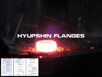 鍛造/鍛造PLFF PLRF炭素鋼フランジ
