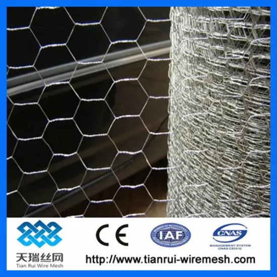 Galvanized hexagonal Chicken wire netting