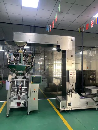 High Speed Automatic Potato Chips and Biscuit Packing Machine