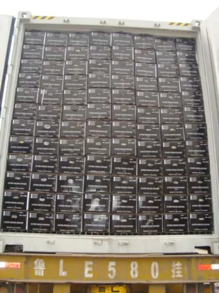 Pure Vegetable Food Ingredient Dehydrated Garlic Powder