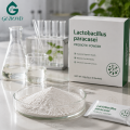 Lactobacillus Paracasei para suplementos dietéticos