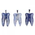 Sodalite Tooth Necklace for Women Men Handmade Craved Stone Teeth