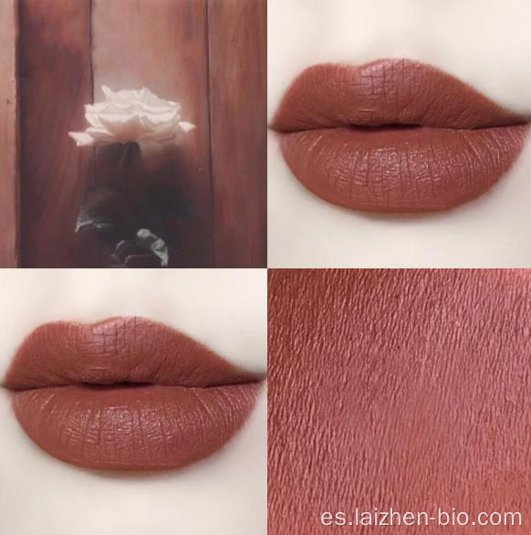 Barra de labios de maquillaje de lápiz labial profesional multicolor