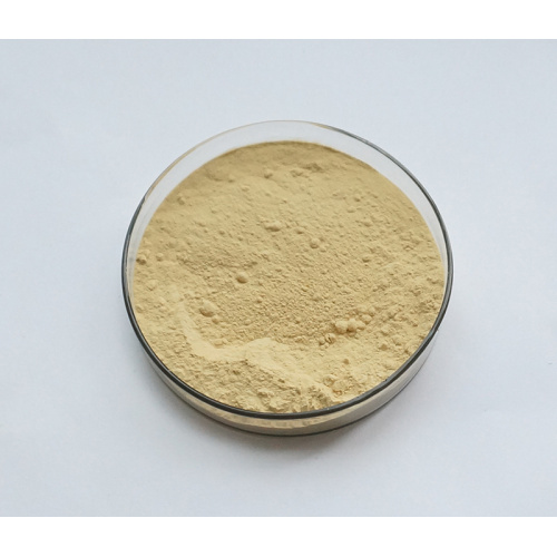 Bitter Orange Extract Diosmin Powder