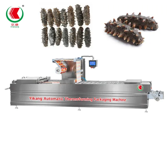 Sea Cucumber Thermoforming Vacuum Packaging Machine