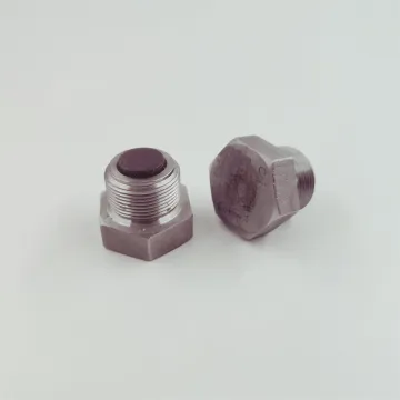 Cummins Engine Oil drain plug assembly 3055069