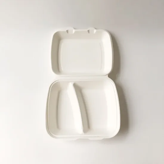 10 inch 2 compartment clamshell