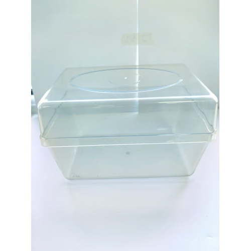 Seed germination plastic box Injection molding