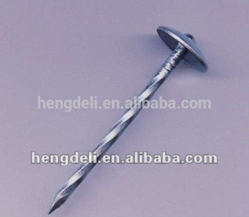 (real factory)umbrella roofing nail