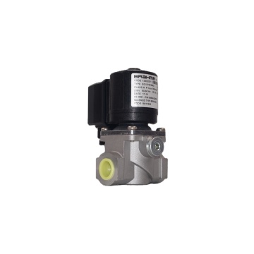 Brahma Gasmagnetventil EG12 Serie 13902001 EG12*S*GVO