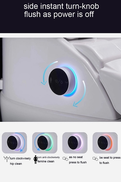 Intelligent Water Closet toilet