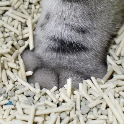 Multi-Flavor Deodorizing Degradable Tofu Cat Litter